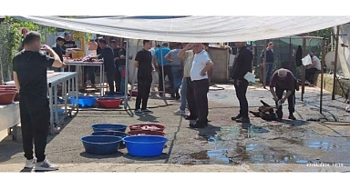 Maltepe’de kaçak kurban kesimine sıkı denetim