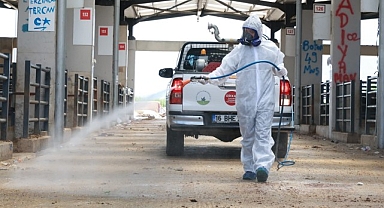 Osmangazi’de Kurban Pazarları İlaçlanarak Dezenfekte Edildi