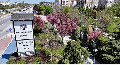 Sakuralar İçin Japonya’ya Gitmenize Gerek Yok; Konya’da Sakura Mevsimi Başladı