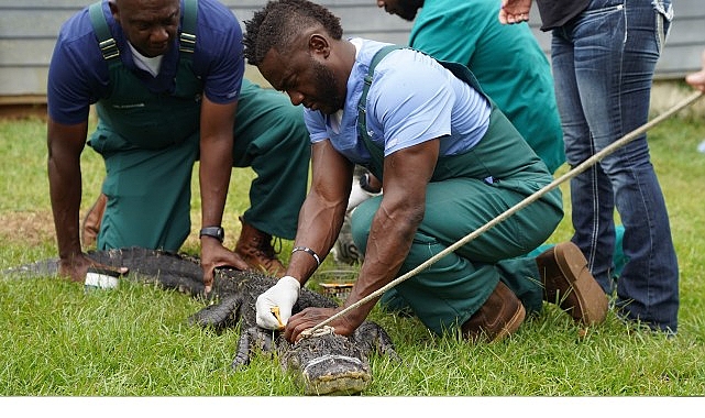 ‘Veteriner Dostlar: En İyiler’, 30 Mayıs Cumartesi Saat 21.00’de National Geographic WILD Ekranlarında!