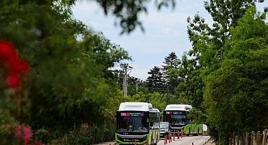 800CK’da tüm yollar Kandıra sahillerine çıkacak