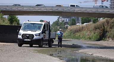 Bakırköy’de Vektör Mücadelesi Yoğunlaştı