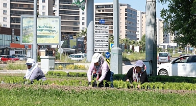 Bu Yaz Osmangazi’de Çiçek Kokuları Eksik Olmayacak 