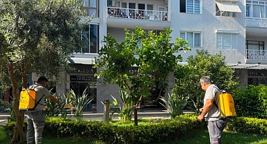  Büyükşehir’den Kemer Liman Caddesi’nde bakım onarım çalışması