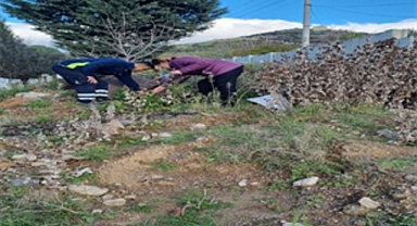 Büyükşehir tasarrufta rekor kırdı