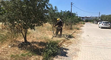 Didim Belediyesi Yeşil Alanlarda Bakım Çalışmalarını Sürdürüyor