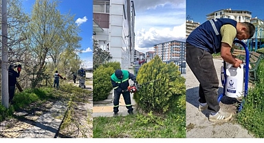 Ekiplerden Kapsamlı Çalışma