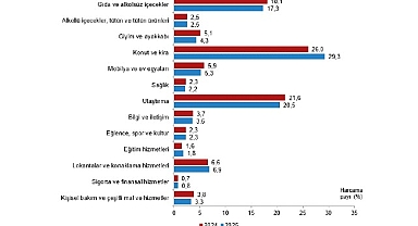 Hanehalkı Tüketim Harcaması, 2025