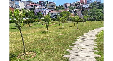 İBB, Park ve Bahçelere Meyve Ağaçları Dikiyor