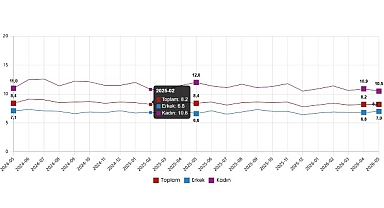 İşgücü İstatistikleri, Mayıs 2026