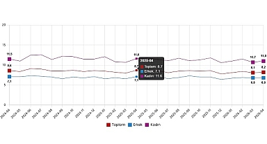 İşgücü İstatistikleri, Nisan 2026