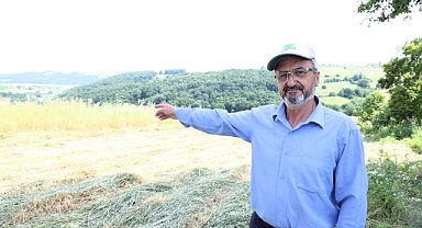 Kocaeli’de “süt otu” hasadı başladı