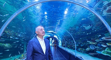 Körfez Aqua Kıtalar Akvaryumu kapılarını açıyor
