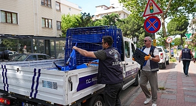 Maltepe Belediyesi zabıta ekipleri işgallere karşı sahada
