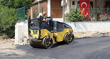 Maydonoz Koyu’nda Asfalt Çalışması
