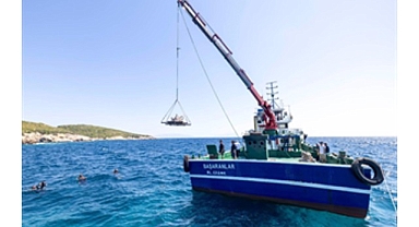 Midye kabukları deniz yaşamına nefes olacak