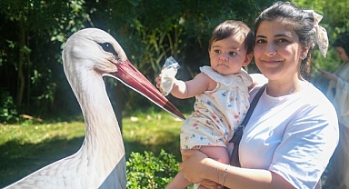 Ormanya’da yavru leylek Atlas’a sürpriz kutlama