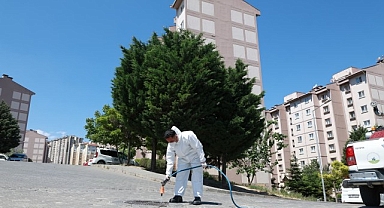 Osmangazi Belediyesi’nden Haşerelere Karşı Etkin Mücadele