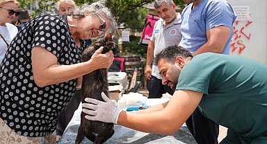 Sokak hayvanlarına yerinde sağlık desteği sürüyor