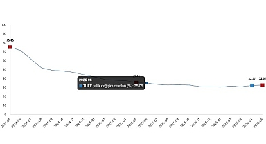Tüketici Fiyat Endeksi, Mayıs 2026