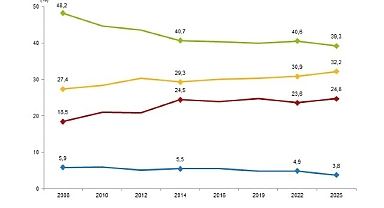 Türkiye Sağlık Araştırması, 2025