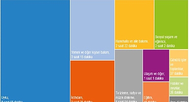  Zaman Kullanım Araştırması, 2025