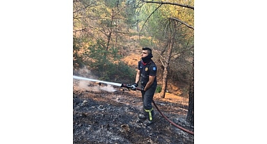 Alevlere karşı ortak mücadele