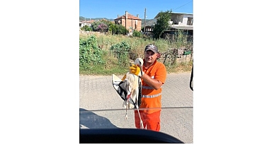 Belediye İşçisi, Görevi Sırasında Bulduğu Yaralı Leyleğin İmdadına Yetişti