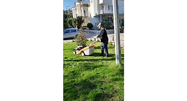Didim Belediyesi Kent Genelinde Çevre Bakım Çalışmalarını Sürdürüyor