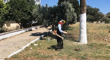 Didim Belediyesi'nden Kente Özenli Dokunuş: Kendi Üretimi Çiçekler Toprakla Buluşuyor