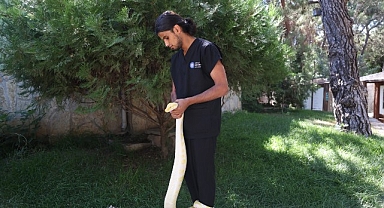 Doğal Yaşam Parkı'nda dünya yılan günü etkinliği