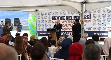 Geyve'de Sokak Hayvanları İçin de Yeni Dönem Başladı