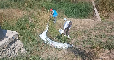Haşerelere Karşı İlaçlama Çalışmaları Sürüyor