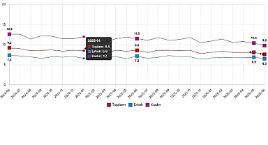 İşgücü İstatistikleri, Haziran 2026