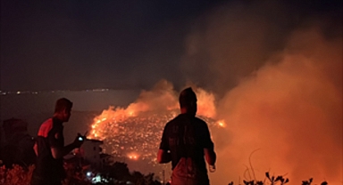 İzmir’in kuzeyinde orman yangını alarmı