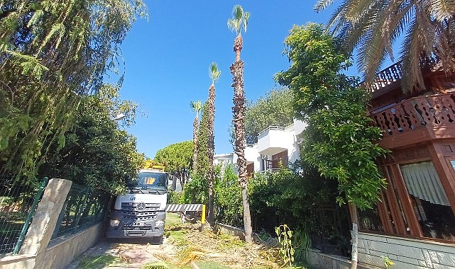 Kemer'de yeşil alanlarda bakım çalışmaları