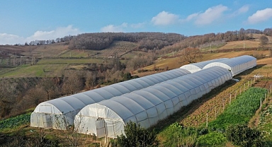 Kocaeli Büyükşehir, tarımı geleceğe taşıyor
