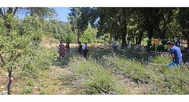 Vatandaşlar Gedelme'nin Mor Güzelliğiyle Buluştu