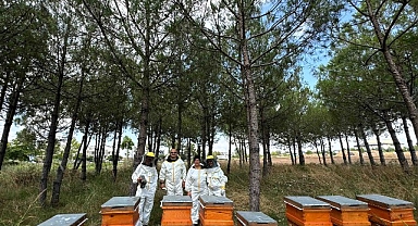 Bilinçli üretim, Kocaeli’nin balını Türkiye’ye taşıyor