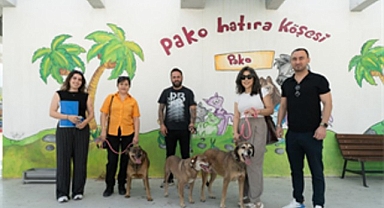 Bir proje, üç dost, hiç kopmayan bağ