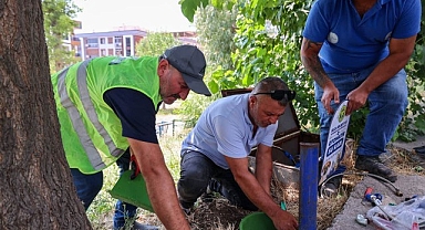 Buca Belediyesi’nden sokak hayvanlarına can suyu