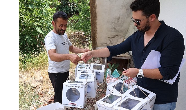 Büyükşehir’den 800 dekar araziye faydalı böcek desteği