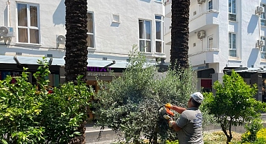 Büyükşehir ekiplerinden Kemer Liman Caddesi'nde çalışma