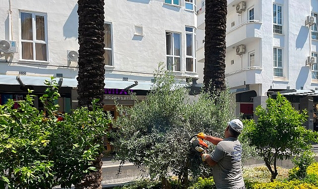 Büyükşehir ekiplerinden Kemer Liman Caddesi'nde çalışma