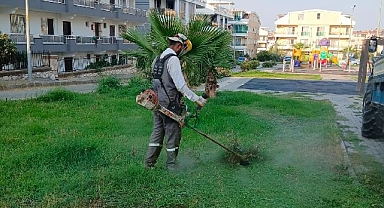 Didim Belediyesi kent genelinde ot biçme ve budama çalışmalarını sürdürüyor