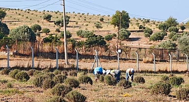 Didim Belediyesi Üretiyor, Didim Güzelleşiyor