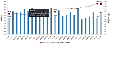 Dış Ticaret Endeksleri, Haziran 2026