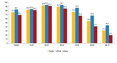 Hanehalkı Bilişim Teknolojileri Kullanım Araştırması, 2026