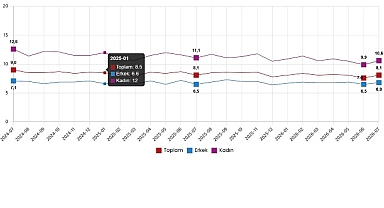 İşgücü İstatistikleri, Temmuz 2026