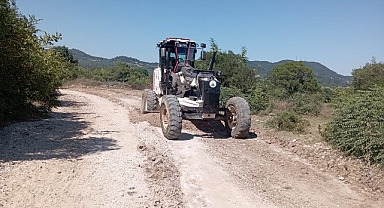 Kandıra Belediyesi’nden Fındık Hasadı Öncesi Üreticiye Yol Desteği